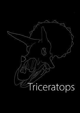 Dinosaurier Fossil Skelett