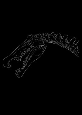 Dinosaurier Fossil Skelett