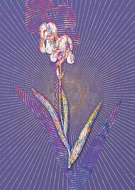 Tall Bearded Iris Mosaic