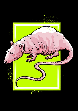 Naked rat design for rat