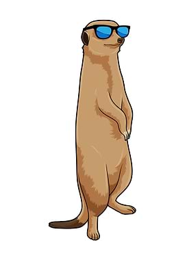 Meerkat Sunglasses