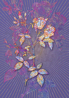 Velvet China Rose Mosaic