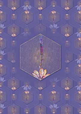 Blazing Star Pattern