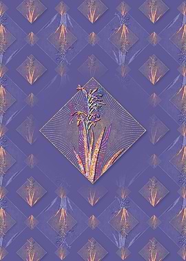 Antholyza Aethiopica