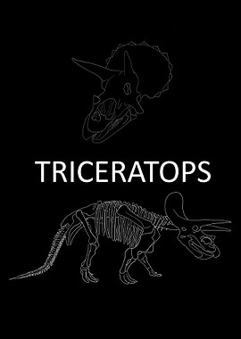 Dinosaurier Fossil Skelett