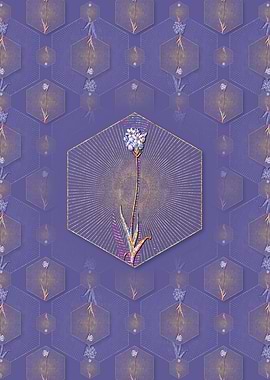 Chincherinchee Pattern