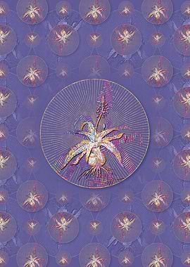 Lachenalia Lanceaefolia