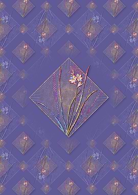 Gladiolus Lineatus Pattern