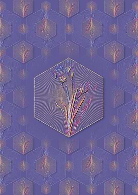 Ixia Bulbifera Pattern