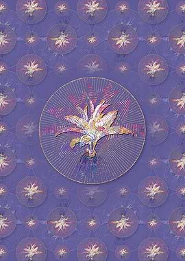 Kaempferia Angustifolia