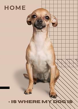 Home is where my dog is