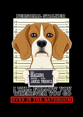 Personal Stalker Beagle