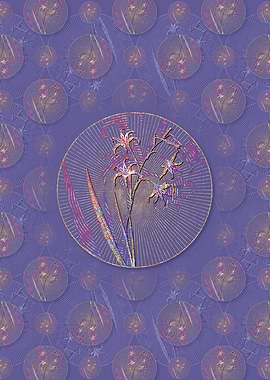 Gladiolus Cuspidatus 2