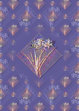 Golden Hurricane Lily