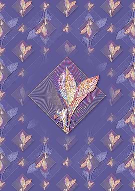 Koemferia Longa Pattern