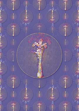Iris Persica Pattern
