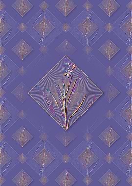 Ixia Anemonae Flora Flower