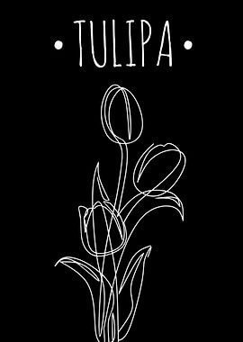 Tulipa Flower