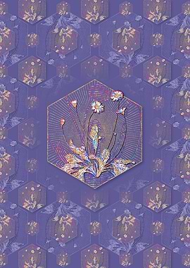 Daisy Flowers Pattern