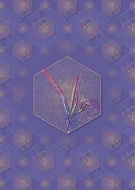 Gladiolus Inclinatus