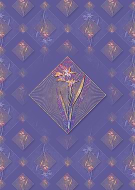 Gladiolus Cuspidatus