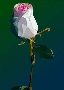 pink rose