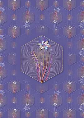 Lady Tulip 2 Pattern