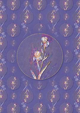 Elder Scented Iris Pattern