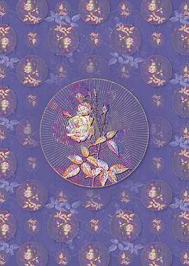 Common Rose of India