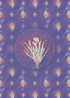 Crimean Iris Pattern