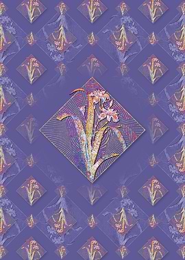 Iris Fimbriata Pattern