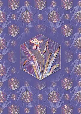 Hungarian Iris Pattern