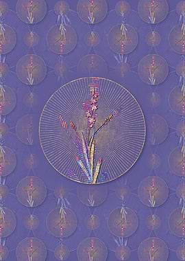 Ixia Scillaris Pattern