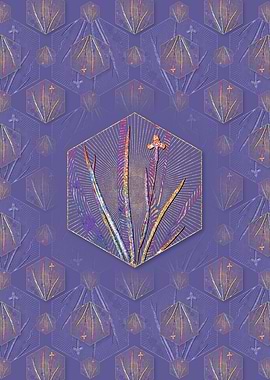 Iris Martinicensis Pattern