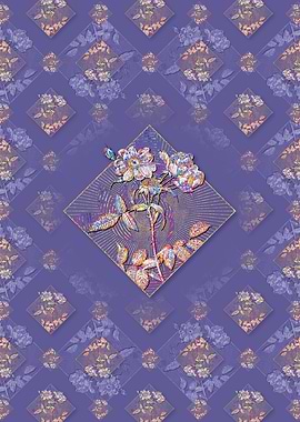 Lady Monson Rose Bloom