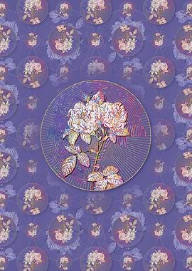 Italian Damask Rose Flower