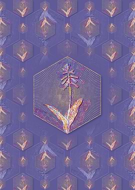 Lachenalia Pendula Pattern