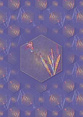 Gladiolus Mucronatus