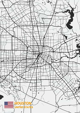 Houston maps art