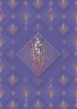 Drooping Star of Bethlehem