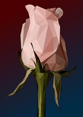 pink rose