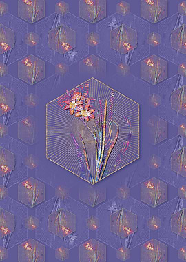 Ixia Tricolor Pattern