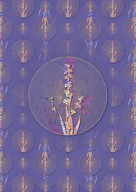 Pale Yellow Eyed Grass