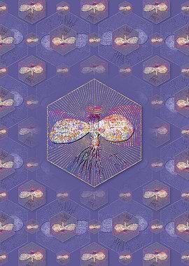 Massonia Pustulata Pattern