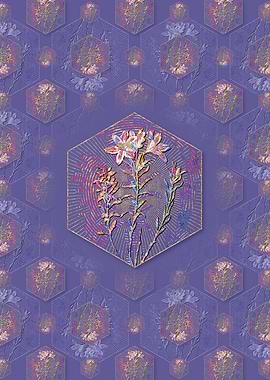 Lily of the Incas Pattern