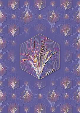 Pitcairnia Bromeliaefolia