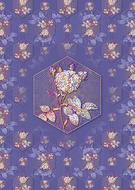 Pink Agatha Rose 2 Pattern