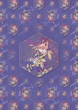 Pink Boursault Rose Flower