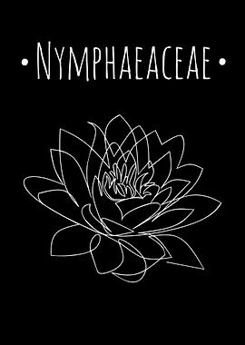 Nymphaeaceae