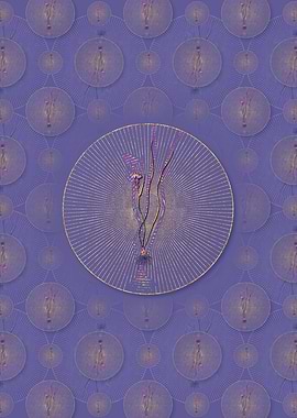 Ornithogalum Spathaceum